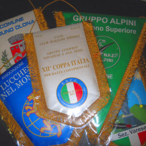 Gagliardetto pentagonale 20x30cm