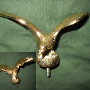 Aquiletta in volo