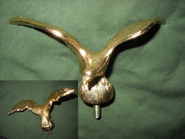 Aquiletta in volo